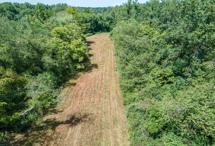 Aerial view of property and surrounding area with a forest