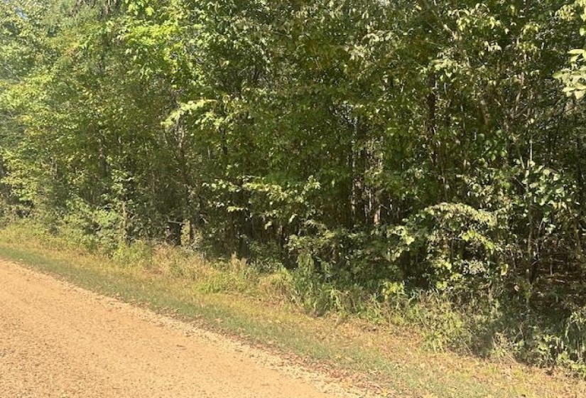View of nature