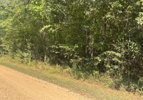 000 TOW BOAT LN, Adamsville, Tennessee 38310, ,Land,For Sale,TOW BOAT,10205612