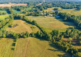 000 BLUEBIRD HILL RD, Ripley, Tennessee 38063, ,Land,For Sale,BLUEBIRD HILL,10205697