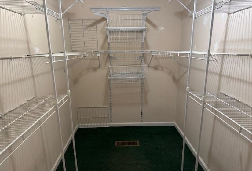 Walk-in closet featuring extensive wire shelving, wire baskets, green carpeting, and a floor vent