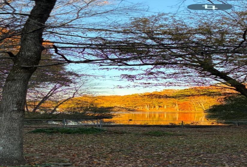 Lakefront setting featuring a reflective water surface and tree-lined banks