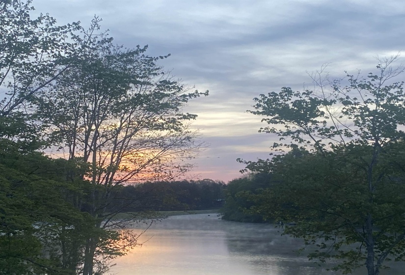 Lakefront setting with a reflective water surface, framed by mature trees