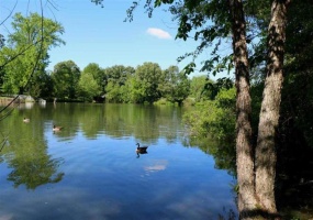 3515 HACKS CROSS RD, Memphis, Tennessee 38125, 0 , 0 ,0,Land,For Sale,HACKS CROSS,0,10205793