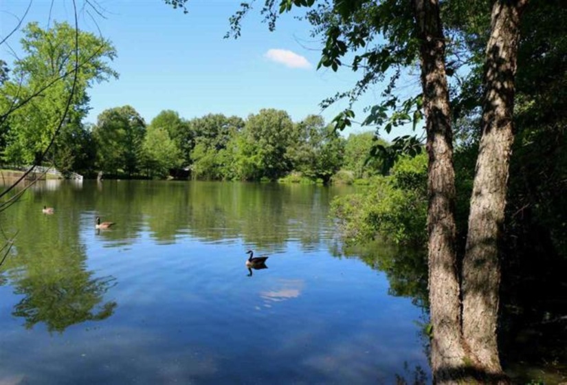 3515 HACKS CROSS RD, Memphis, Tennessee 38125, 0 , 0 ,0,Land,For Sale,HACKS CROSS,0,10205793