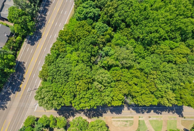 0 72 HWY, Germantown, Tennessee 38138, 0 , 0 ,0,Land,For Sale,72,0,10206029