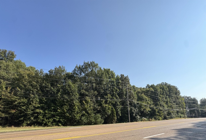 Poplar Ave view
