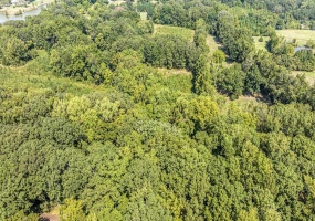 0 WILLOW OAK DR, Arlington, Tennessee 38002, ,Land,For Sale,WILLOW OAK,10206040