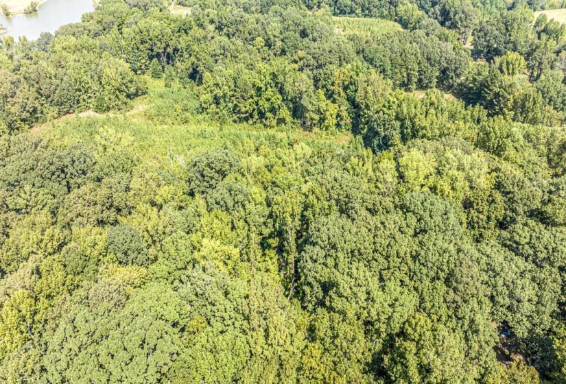 Aerial overview of property's location featuring a forest and a large body of water