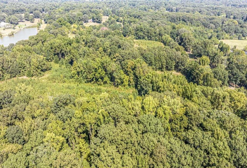 Drone / aerial view of a nearby body of water and a forest