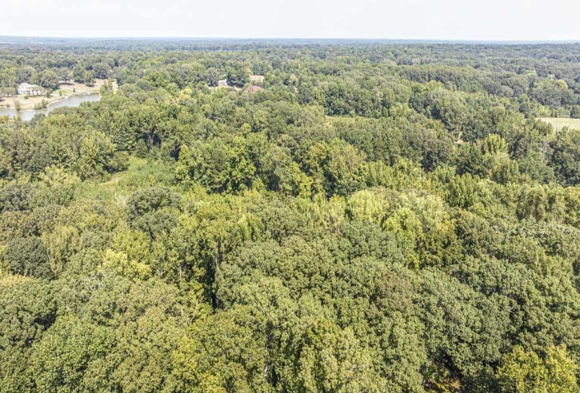 Bird's eye view of a heavily wooded area and a large body of water