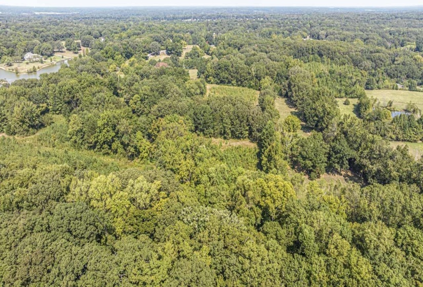 View of property location featuring a heavily wooded area and a large body of water