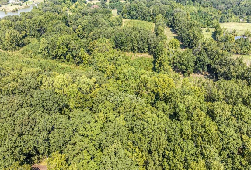 View of property location featuring a heavily wooded area and a large body of water