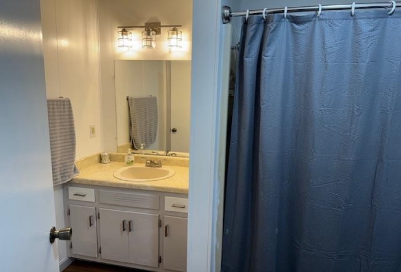 Bathroom with vanity and a shower with curtain