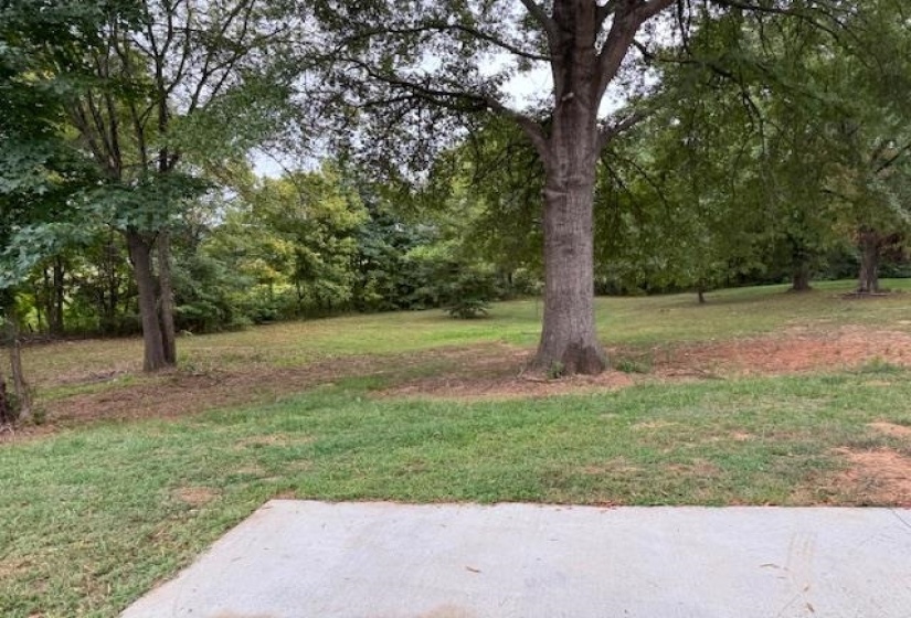 View of green lawn with view of wooded area