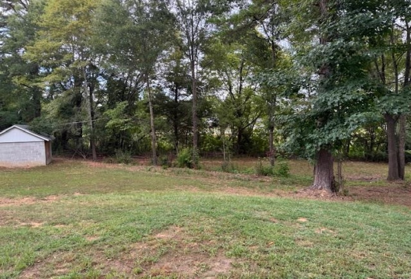 View of green lawn