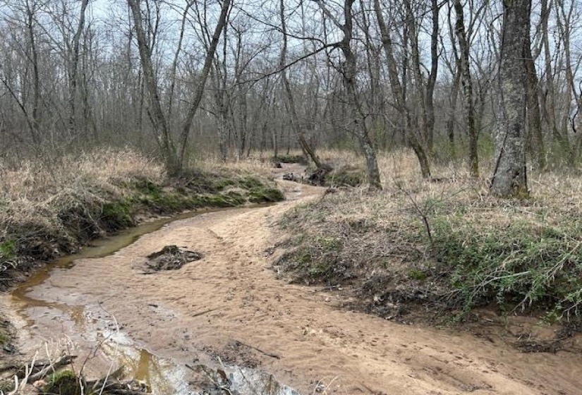 000 TEAGUE RD, Medon, Tennessee 38356, ,Land,For Sale,TEAGUE,10206063