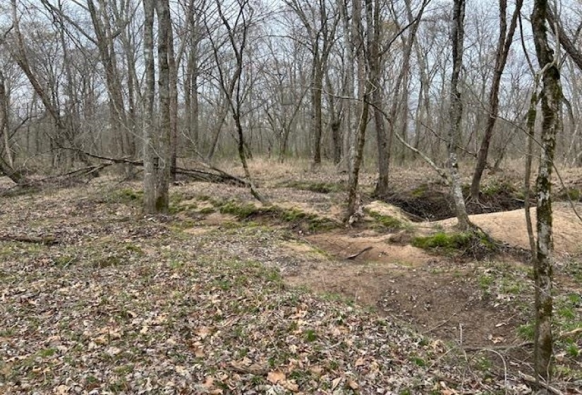 000 TEAGUE RD, Medon, Tennessee 38356, ,Land,For Sale,TEAGUE,10206063