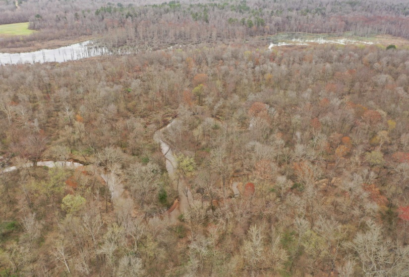 000 TEAGUE RD, Medon, Tennessee 38356, ,Land,For Sale,TEAGUE,10206063