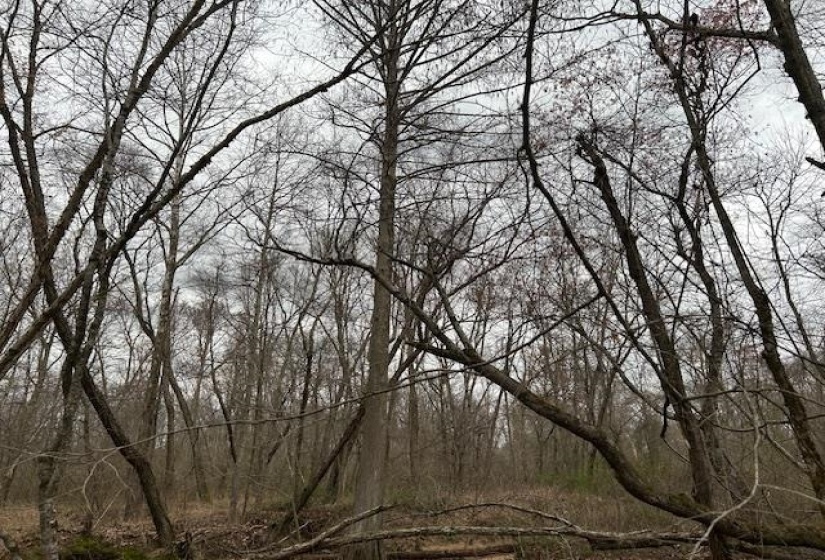 000 TEAGUE RD, Medon, Tennessee 38356, ,Land,For Sale,TEAGUE,10206063