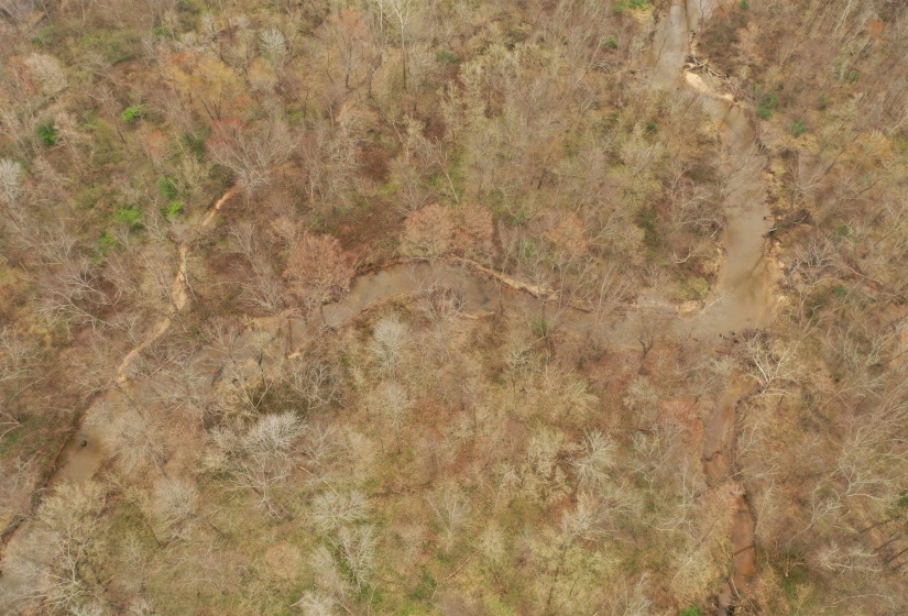 000 TEAGUE RD, Medon, Tennessee 38356, ,Land,For Sale,TEAGUE,10206063