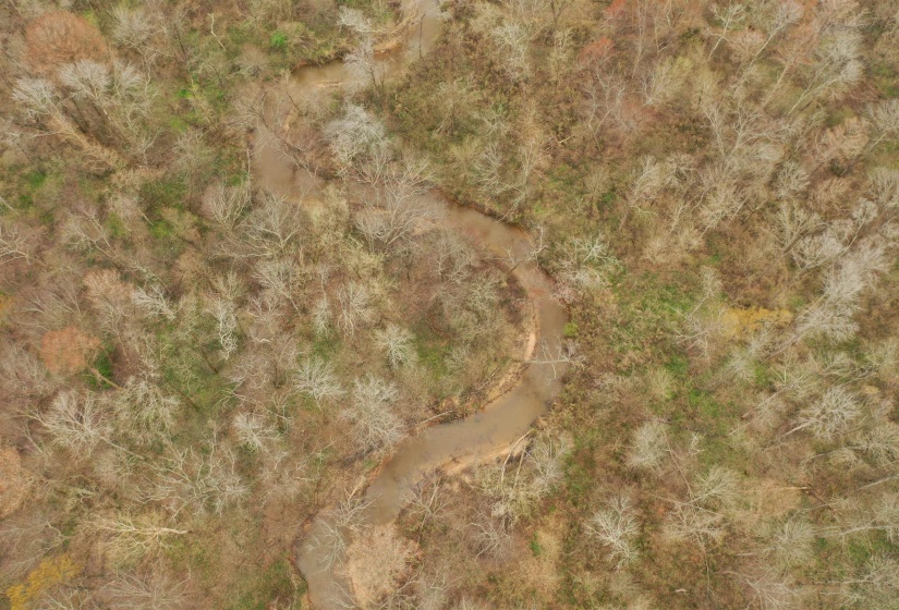 000 TEAGUE RD, Medon, Tennessee 38356, ,Land,For Sale,TEAGUE,10206063