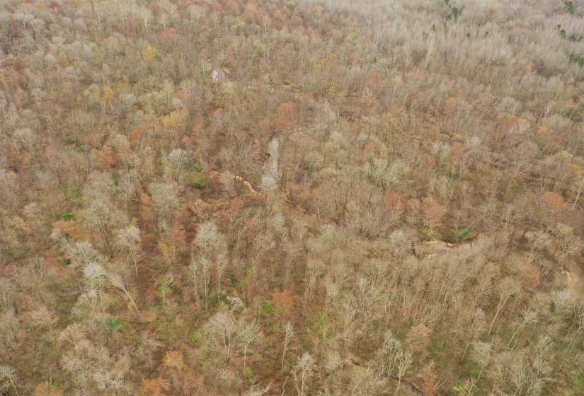 000 TEAGUE RD, Medon, Tennessee 38356, ,Land,For Sale,TEAGUE,10206063