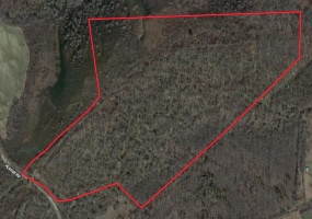 000 TEAGUE RD, Medon, Tennessee 38356, ,Land,For Sale,TEAGUE,10206063