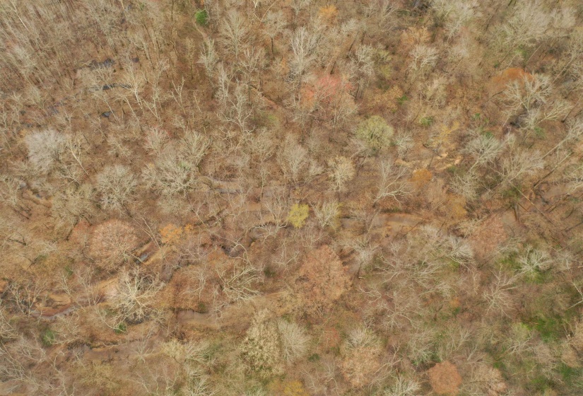 000 TEAGUE RD, Medon, Tennessee 38356, ,Land,For Sale,TEAGUE,10206063