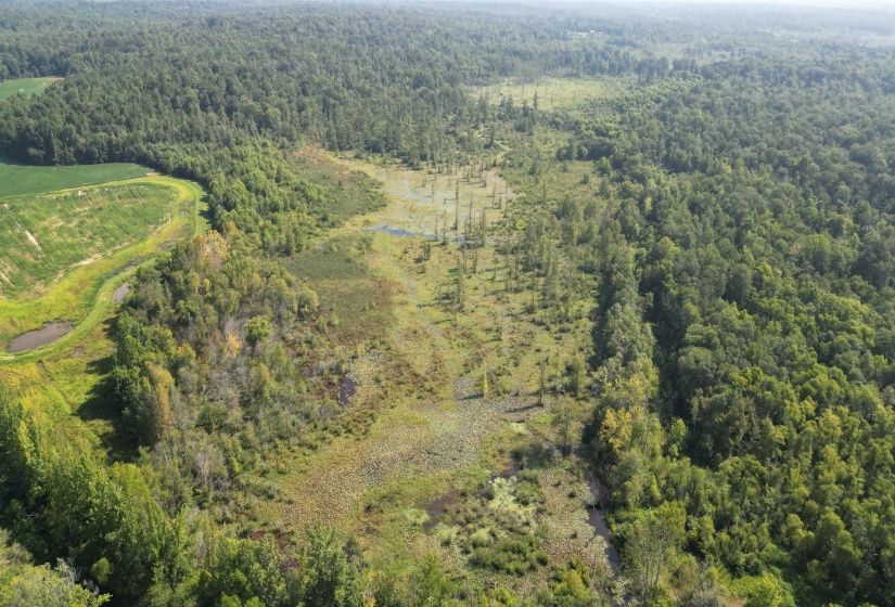 000 TEAGUE RD, Medon, Tennessee 38356, ,Land,For Sale,TEAGUE,10206063