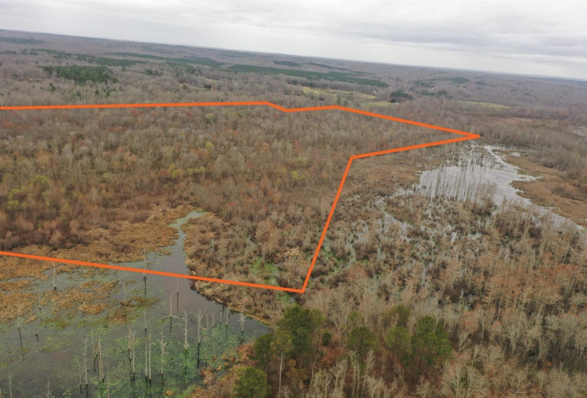 000 TEAGUE RD, Medon, Tennessee 38356, ,Land,For Sale,TEAGUE,10206063