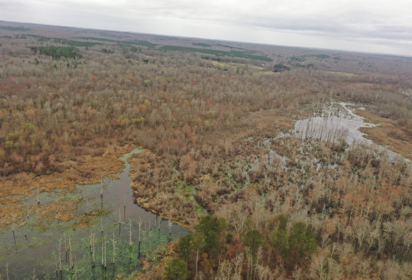 000 TEAGUE RD, Medon, Tennessee 38356, ,Land,For Sale,TEAGUE,10206063