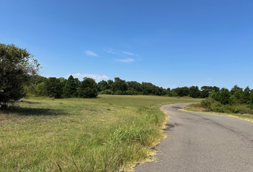 View of asphalt street featuring a view of rural / pastoral area