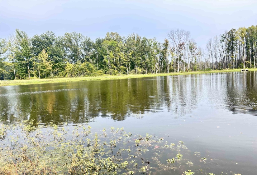 240 FREEDOM LN, Rossville, Tennessee 38066, 4 Bedrooms Bedrooms, 6 Rooms Rooms,3.1 BathroomsBathrooms,Residential,For Sale,FREEDOM,10206062