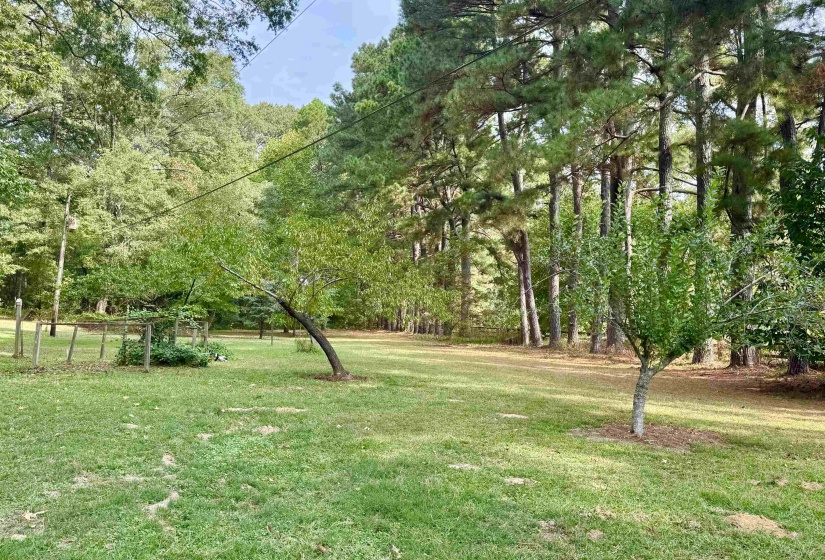 240 BIG BELL LOOP, Eads, Tennessee 38028, 0 , 0 ,0,Land,For Sale,BIG BELL,0,10206122