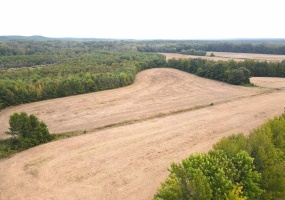 BUTLER CHAPEL RD, Ramer, Tennessee 38367, ,Land,For Sale,BUTLER CHAPEL,10206279 BUTLER CHAPEL RD, Ramer, Tennessee 38367, ,Land,For Sale,BUTLER CHAPEL,10206279
