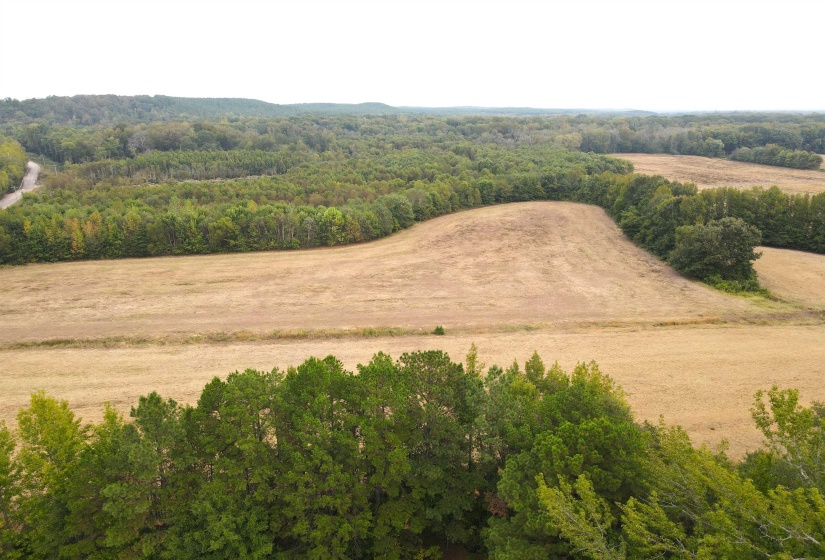 BUTLER CHAPEL RD, Ramer, Tennessee 38367, ,Land,For Sale,BUTLER CHAPEL,10206279