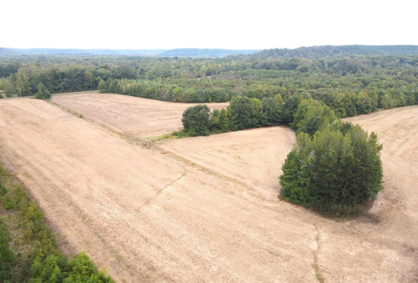 BUTLER CHAPEL RD, Ramer, Tennessee 38367, ,Land,For Sale,BUTLER CHAPEL,10206279