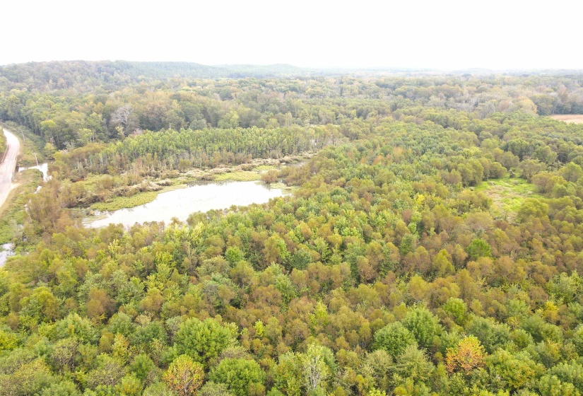 BUTLER CHAPEL RD, Ramer, Tennessee 38367, ,Land,For Sale,BUTLER CHAPEL,10206279