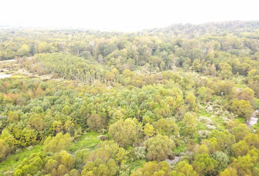 BUTLER CHAPEL RD, Ramer, Tennessee 38367, ,Land,For Sale,BUTLER CHAPEL,10206279