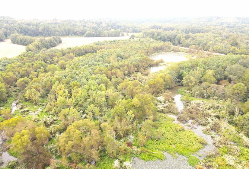 BUTLER CHAPEL RD, Ramer, Tennessee 38367, ,Land,For Sale,BUTLER CHAPEL,10206279