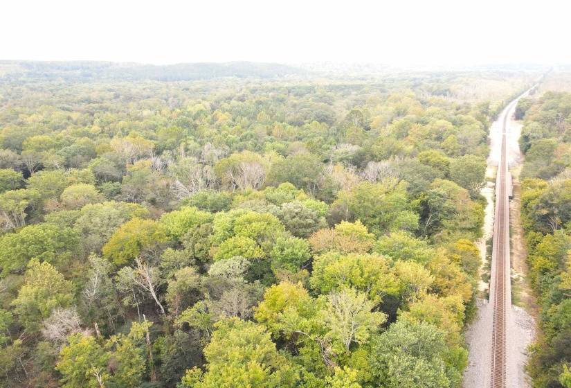 BUTLER CHAPEL RD, Ramer, Tennessee 38367, ,Land,For Sale,BUTLER CHAPEL,10206279