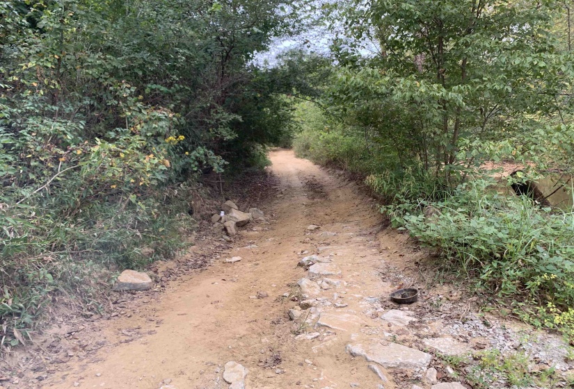 BUTLER CHAPEL RD, Ramer, Tennessee 38367, ,Land,For Sale,BUTLER CHAPEL,10206279