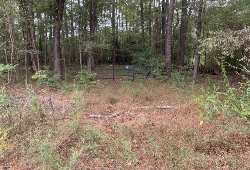 BUTLER CHAPEL RD, Ramer, Tennessee 38367, ,Land,For Sale,BUTLER CHAPEL,10206279