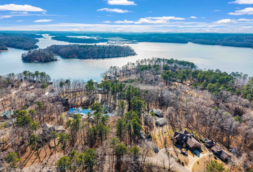Drone / aerial view of a large body of water and a forest