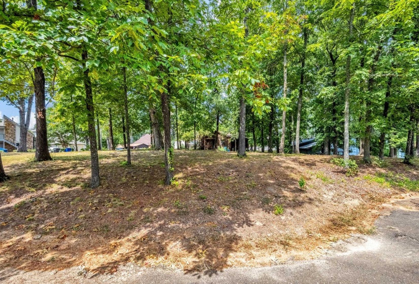 4158 WHITE CEDAR CV, Lakeland, Tennessee 38002, 0 , 0 ,0,Land,For Sale,WHITE CEDAR,0,10206468