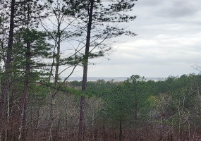 LOT #5 EAGLE POINT DR, Cherokee, Alabama 35616, ,Land,For Sale,EAGLE POINT,10206491 LOT #5 EAGLE POINT DR, Cherokee, Alabama 35616, ,Land,For Sale,EAGLE POINT,10206491