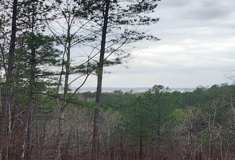 Exterior space featuring a wooded view