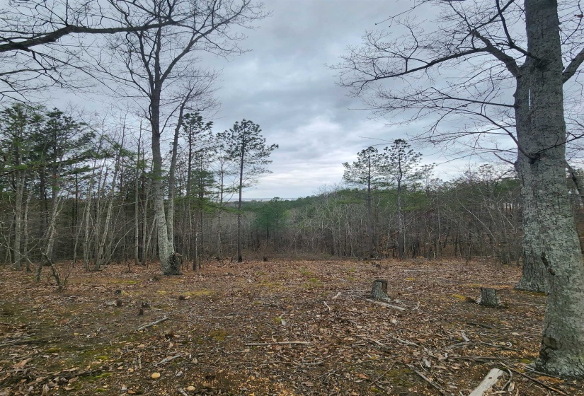 View of landscape featuring a view of trees