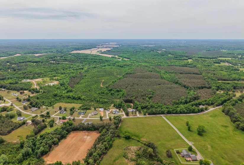 RACE PATH RD, Stantonville, Tennessee 38379, ,Land,For Sale,RACE PATH,10206498